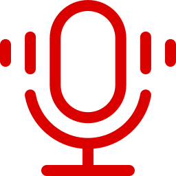 voice search